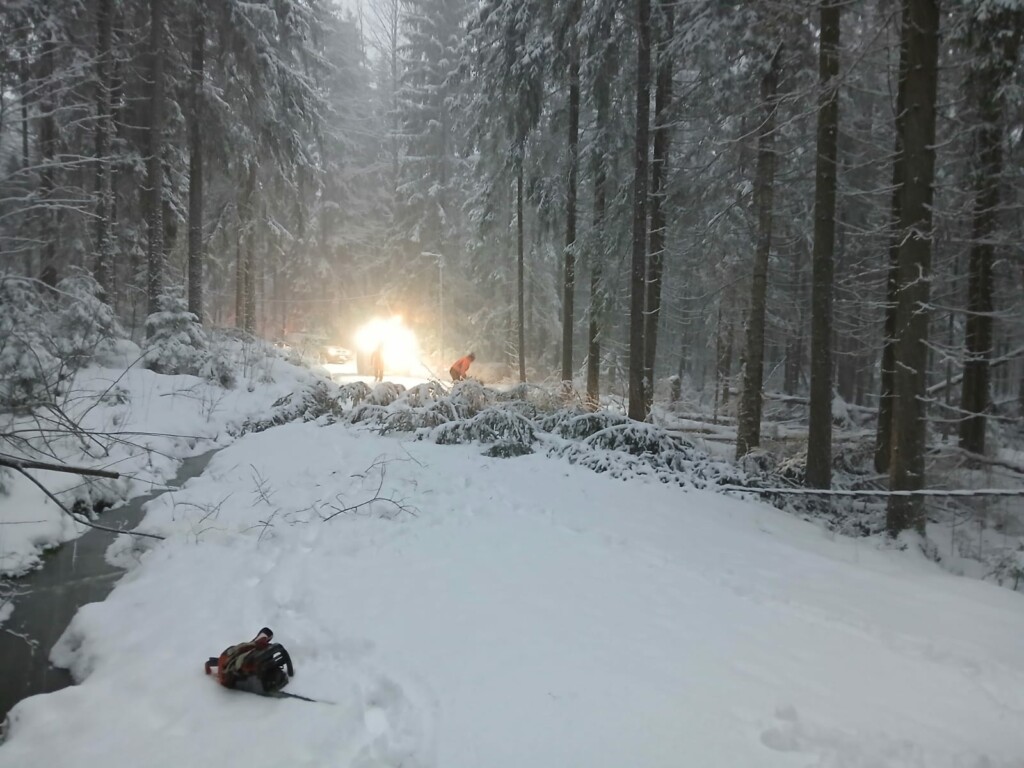 Kaatuneen puun raivausta lumipyryn keskellä.