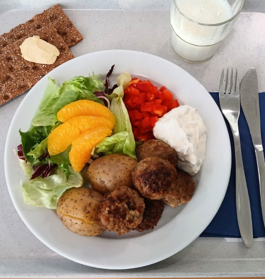 Plate on Greek meatballs, tzatziki, potatoes and salad.